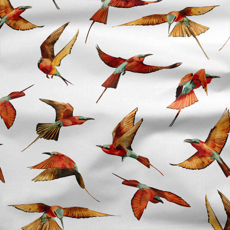 bee eater on white mockup