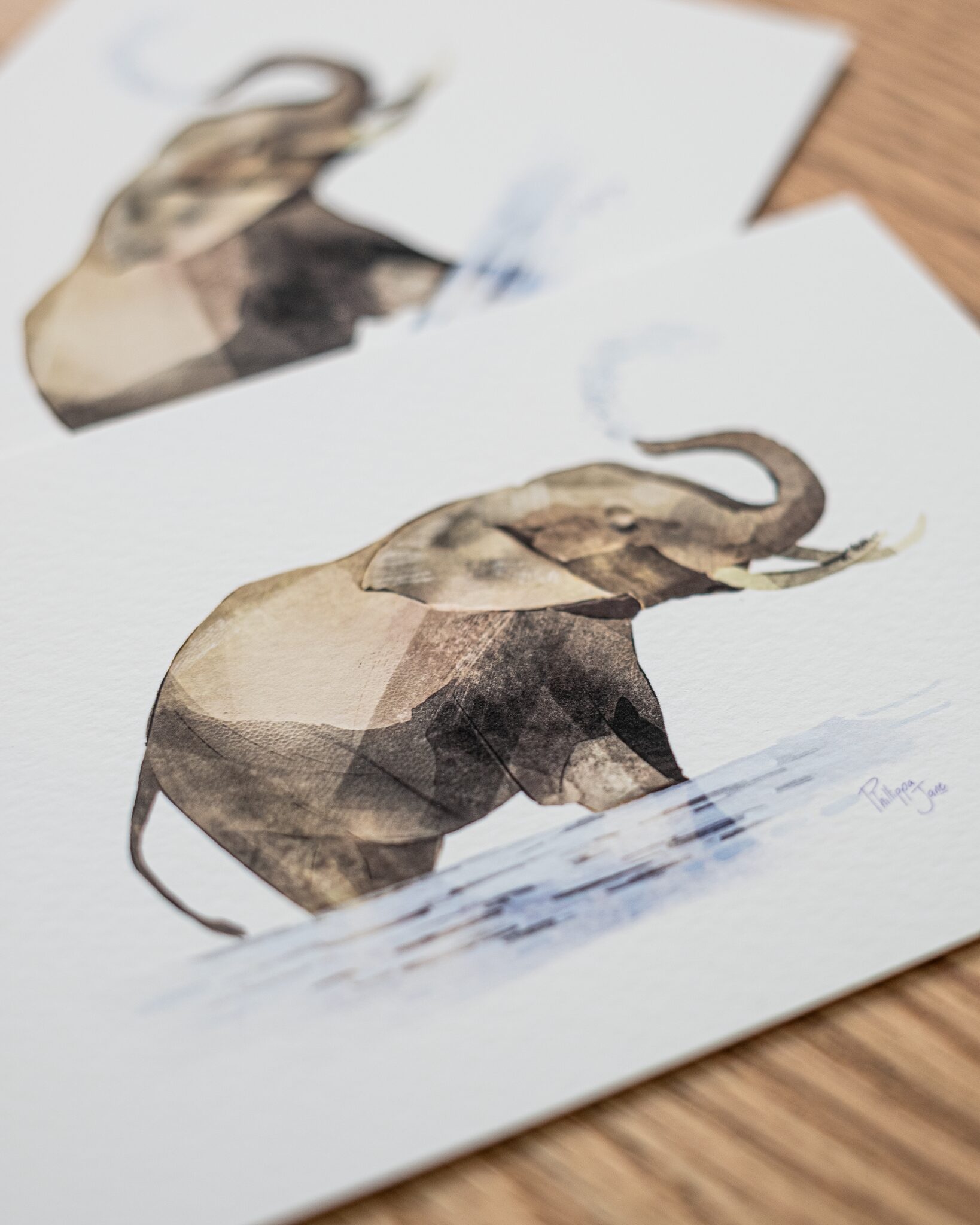 elephant printed 2