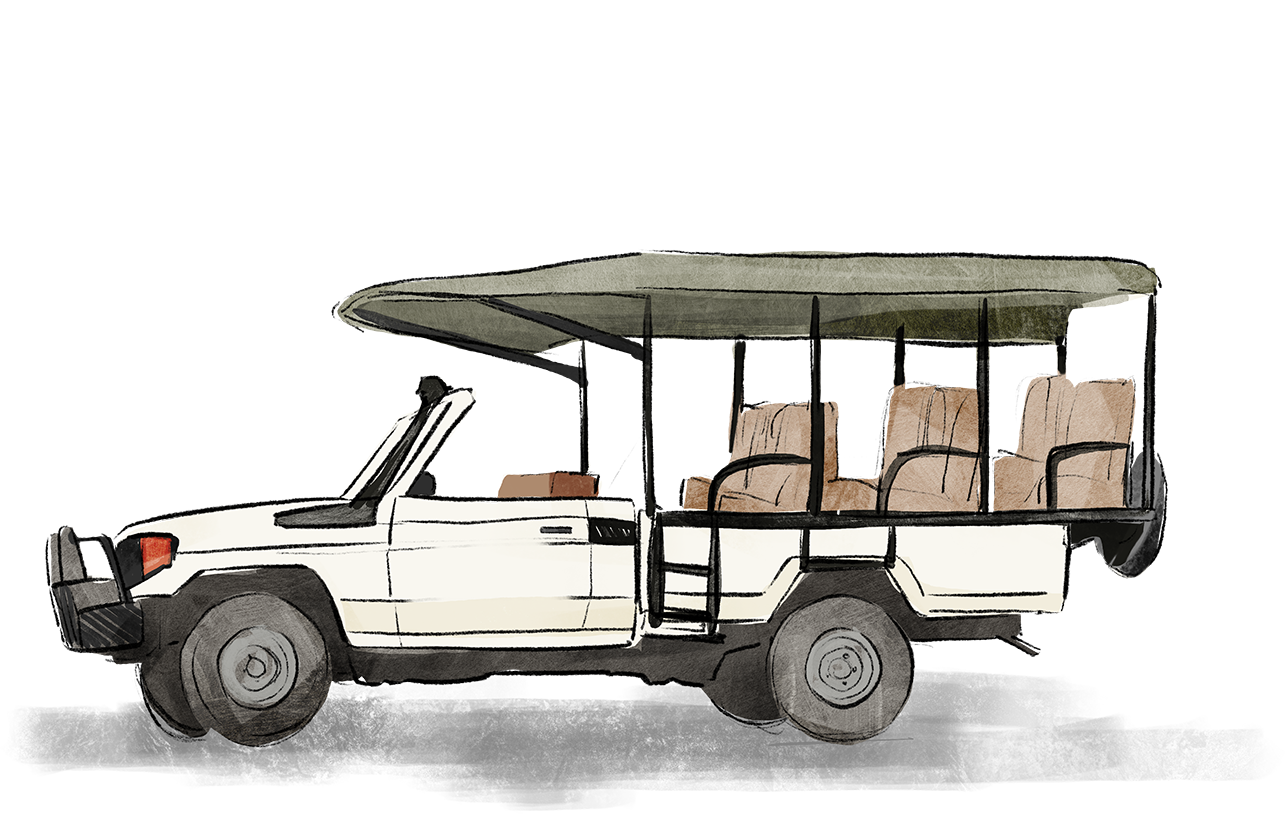 safari vehicle