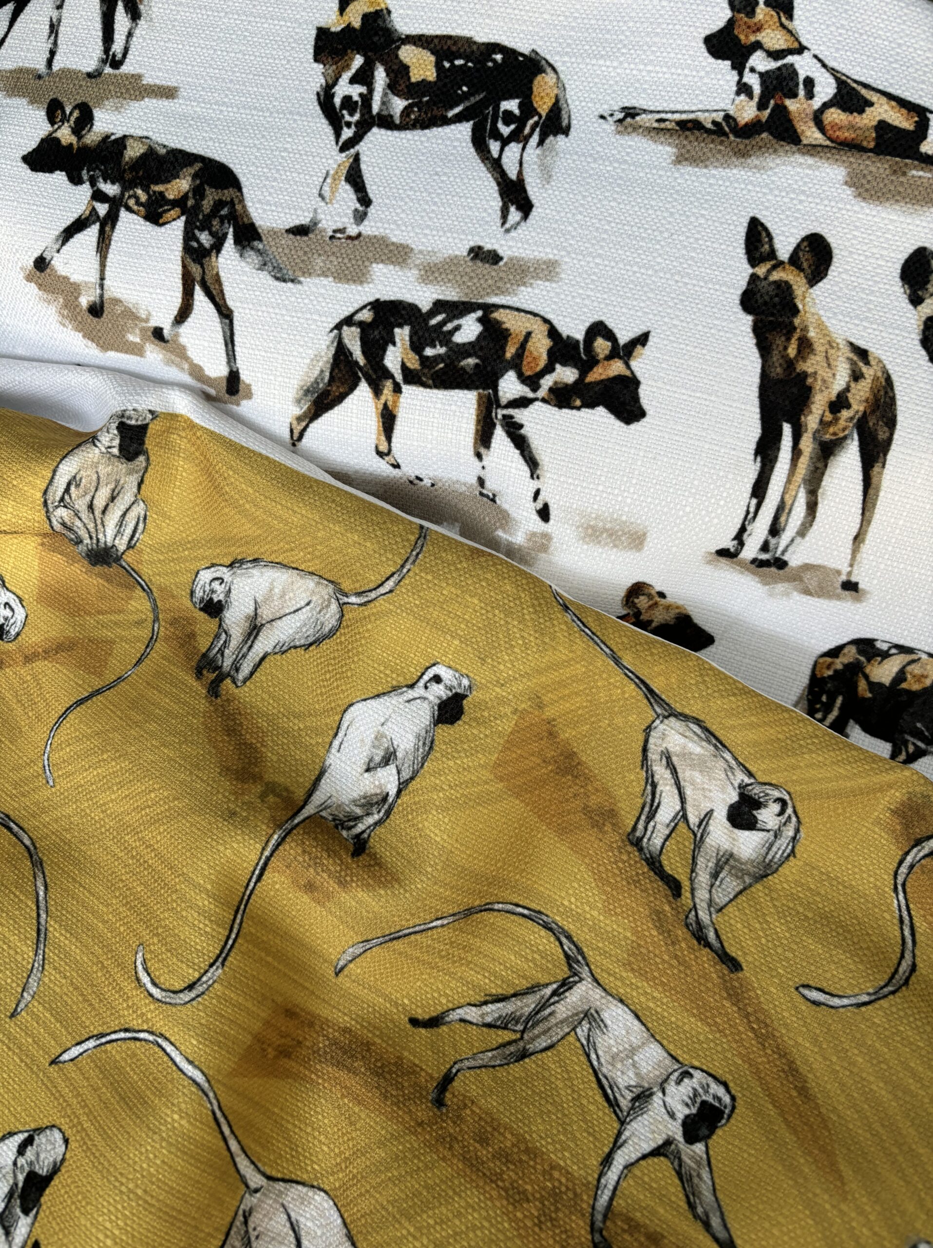 wild dogs & monkeys